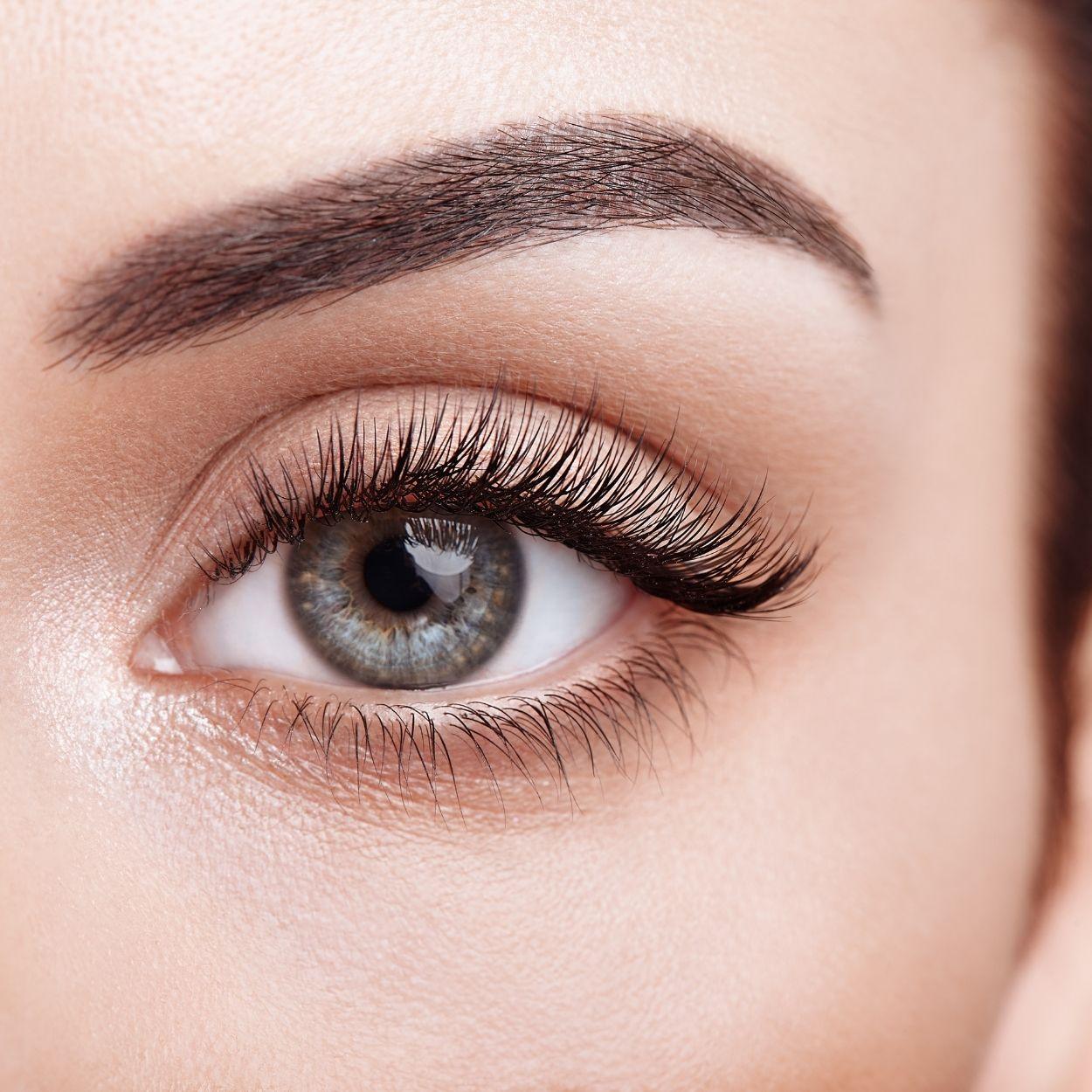 Premium Promade Loose Fans Eyelash Extensions | 10D-0.05C-15mm - Ariya Lashes