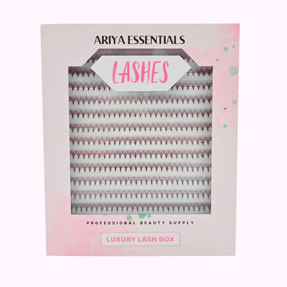 Premium Mixbook ProMade Eyelash Extensions Fan | 10D-0.03 D-(8mm-15mm) - Ariya Lashes