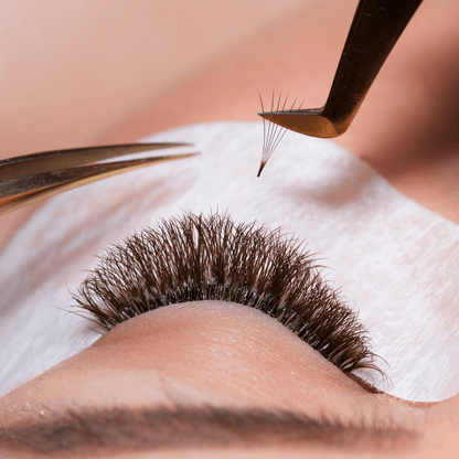 Premium Promade Loose Fans Eyelash Extensions | 06D-0.05C-12mm - Ariya Lashes