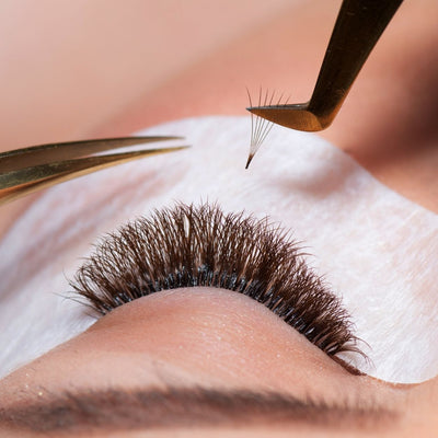 Premium Promade Loose Fans Eyelash Extensions | 14D-0.03D-12mm - Ariya Lashes