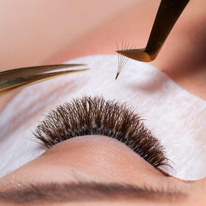 Premium Promade Loose Fans Eyelash Extensions | 8D-0.05C-14mm - Ariya Lashes